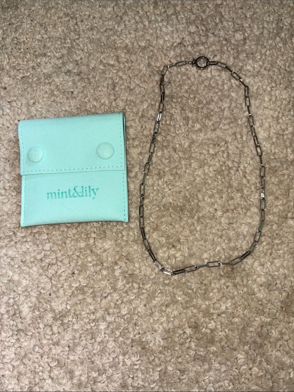 Mint & Lily Silver Rectangular Link Necklace - Silver